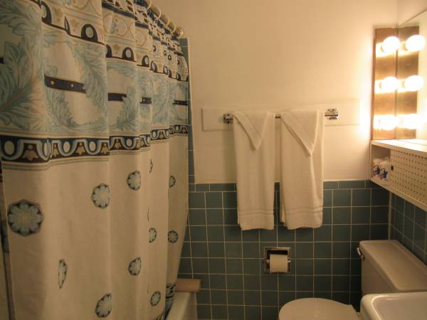 $350 / 1br - 334ft2 - Furnished Studio Apartment one block off St. Charles Ave. (New Orleans)63903650257154122