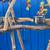 Macaw parrot perch - custom made ! A great socializer for mr Birdee !! 15 thumbnail