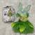 Disney Tinkerbell Costume 1 thumbnail