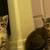 Looking to rehome kittens 2 thumbnail