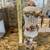 Ceramic Table Desk Lamp 15 thumbnail