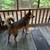 Belgium Malinois x Austrailian Shepard 1 thumbnail