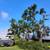 Tree Service 11 thumbnail