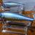 Five (5) New Floating Lures in a Tackle Box  L-#58 2 thumbnail