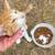Rehomeing stray kittens 3 thumbnail