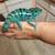 BABY PANTHER CHAMELEONS 1 thumbnail