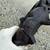 1966 Corvette brake calipers 1 thumbnail