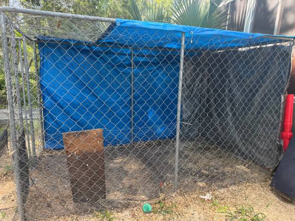 Outside dog cage 1