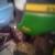 John Deere D105 mower 4 thumbnail