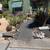 CUTTING EDGE LANDSCAPING SERVICES..A cut above the rest 14 thumbnail