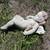 Concrete Cherub 1 thumbnail