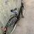 Like new black step-through coaster brake single speed ladies bike 3 thumbnail