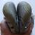 Toddler/Little Girls Size 12 Khombu Kids Active Sandals Good Condition 5 thumbnail