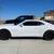 Camaro ZL1 5 Speed Stick 3 thumbnail