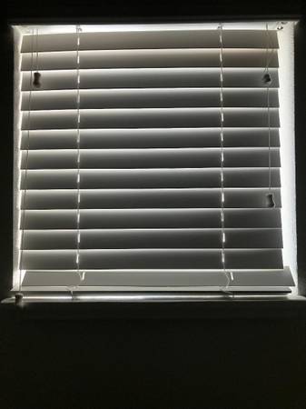 Window Blinds 1