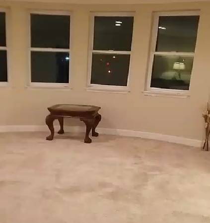 $1,800 / 3br - 600ft2 - * HWY237@First ST* Executive Master suite*Furnished (san jose north)63858054067587122