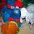 BIG FROG TOY BOX  and 28 Plush STUFFED ANIMALS Bundle Lot Child Toys 8 thumbnail