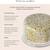 Canopy High Pressure Shower Head Filter for Hard Water - Healthier Ski 11 thumbnail