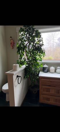 2 artificial trees, realistic and sturdy bases 1