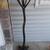 Unique Antique 1940's Wood Tree Branch Coat/Hat Rack 4 thumbnail