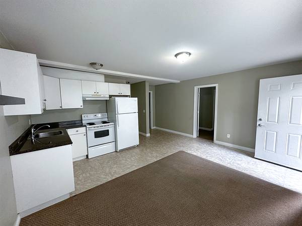 2br - Two bedroom basement suite for rent 1