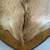 Whitetail Buck Deer Shoulder Mount with Antlers – Rustic Wall Decor 7 thumbnail