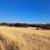 Pasture or orchard for lease - approximative 200 acres 1 thumbnail