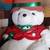 Santa Bears 1985-2007 Have a Plush Christmas 6 thumbnail