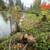 Storm Damage, Downed Tree and Debris Removal 2 thumbnail