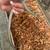 Speckled king snake 1 thumbnail