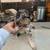 Texas Heelers 4 thumbnail