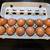 PURE - Blue Wheaten Marans Chicks 5 thumbnail