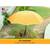 BZ Birds Landscape Staples 20 Pack Stainless Steel 6” 11 Gauge 11 thumbnail