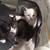 Kittens available 2 thumbnail