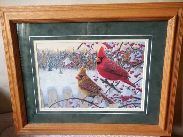 Cardinal picture (matted & framed) 1