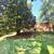 Lovely Home in Silver Spring! $1,000 Off First Month's Rent! 24 thumbnail