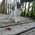 Kittens 3 thumbnail