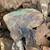 The Gold Bug Mine/ 20-acre mining property/Owner Financing available 7 thumbnail