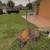 STUMP GRINDING JAX 904-616-5133 Tree Removal and Trimming 22 thumbnail