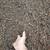 20 yards double hammered hardwood mulch delivered 14 thumbnail