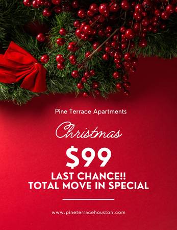 Pine Terrace Apartments 1