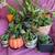Holiday,Clothes, Shoes, Plants, Patches, Toys,Games, Jewelry, 19 thumbnail