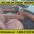 2008 Mercedes-Benz CL 600 CL 600 2dr Coupe NO JOB OR CREDIT NEEDED 7 thumbnail
