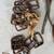 Leather, Bells, and Buckles 11 thumbnail