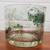 Glass Botanical Vases + Candle Holders 6 thumbnail