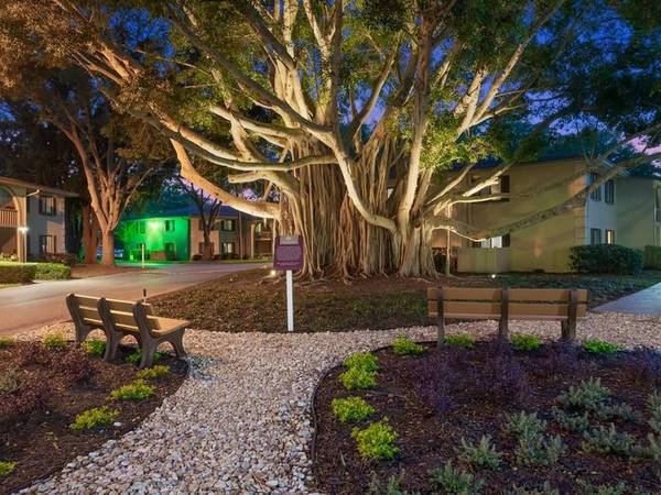 🌳🍃Relax every day with a calming oak tree view 🍃🌳 1