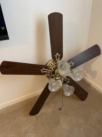 Ceiling Fan 1
