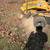 Stump Grinding 12 thumbnail