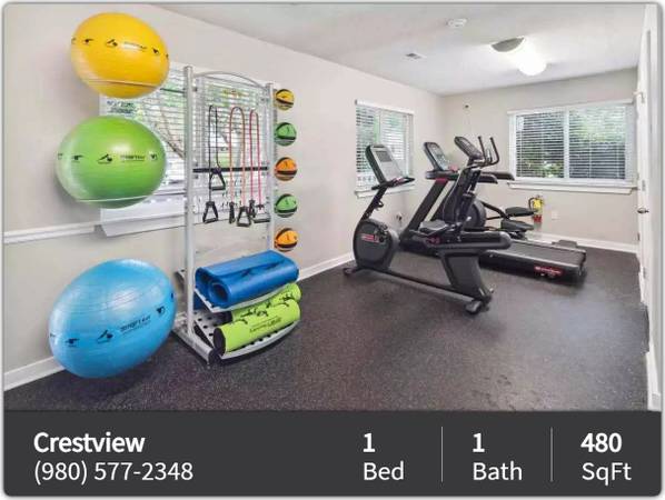 $1,050 / 1br - 480ft2 - We're right on the bus line! Great 480 sq ft 1 bed, 1 bath! (Concord)63925335500802121