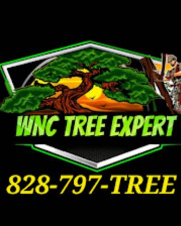 WNC Tree services looking to handle.any tree job or jobs you may have 1